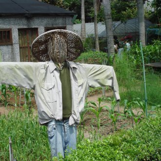 Scarecrow in a hat