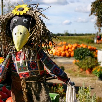 Scarecrow made of straw
