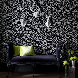 Zebra Duvar Kağıdı