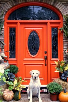 Porte orange de la maison