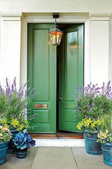 Porte verte à la maison