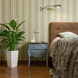 Yatak odasında Spathiphyllum