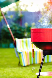 Barbekü fırını