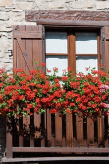 Country style balcony door design