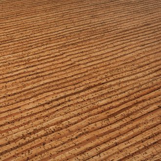Bambu altında mantar laminat