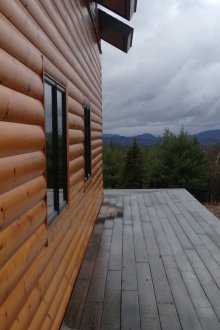 Schierandosi sotto il bar