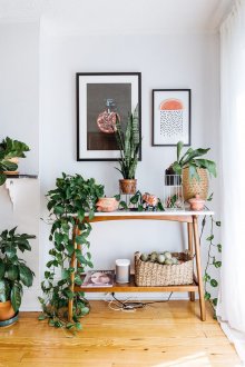 İç feng shui tarafından boyama