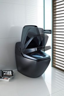 Siyah metal tuvalet