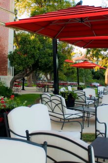 Garden umbrella red