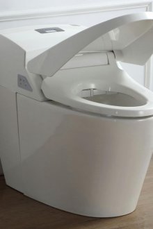 Plastik klozet kapağı