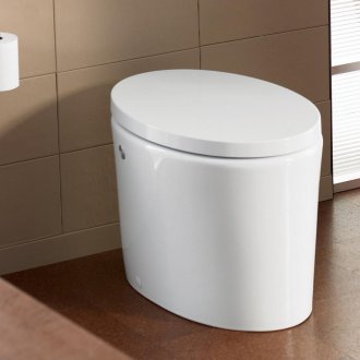 La cuvette des toilettes est ovale