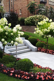 Landscaping with flowers