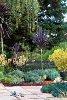 Minimalism landscape design