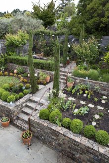 Landscaping a small plot
