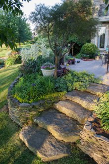Landscaping of a site in the style of Provence