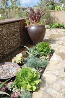 Landscaping with Succulents