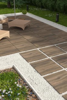 Paving slabs under a tree