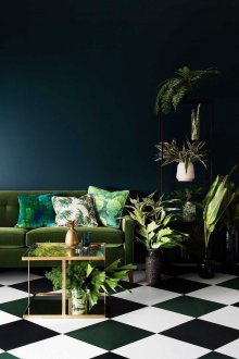 Dark interior with flowers