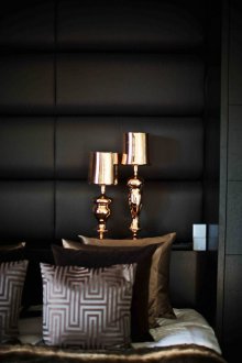 Dark panels in the interior