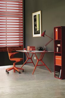 Red Roller Blinds Zebra