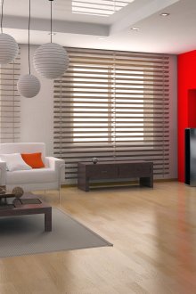 Wide blinds in the living room