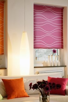 Dense bright roller blinds in the living room