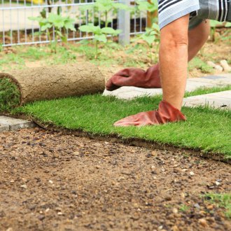 Canadian rolled lawn