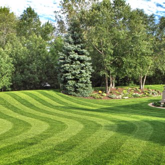 Rolled linear lawn