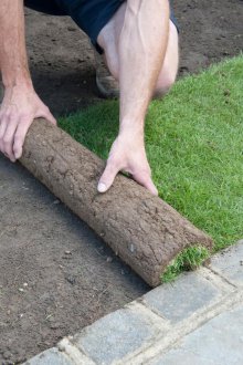 Rolled natural lawn