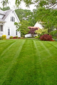 Lawn mowing