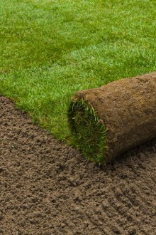 Roll lawn