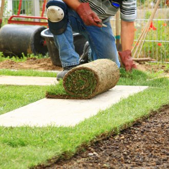 Rolled lawn for a site