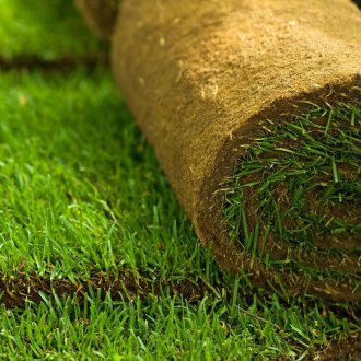 Laying a roll lawn