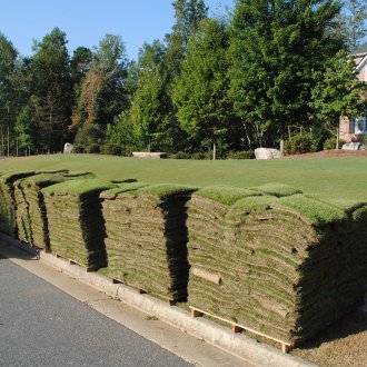 Lawn roll device