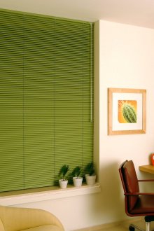 Green shutters in the office