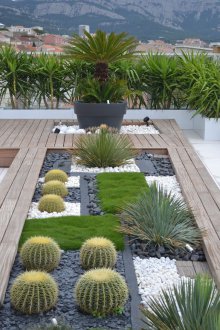 Aiuola di cactus al cottage