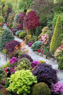 Aiuola autunno nel paese