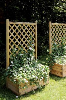 Un letto di fiori ricci in campagna