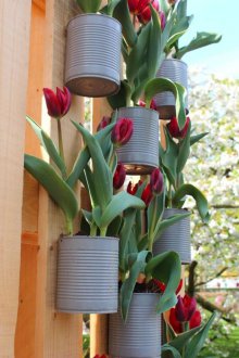 Bahçede Lale ile flowerbed