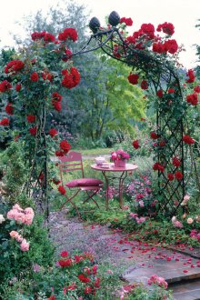 Rose nel giardino d'autunno