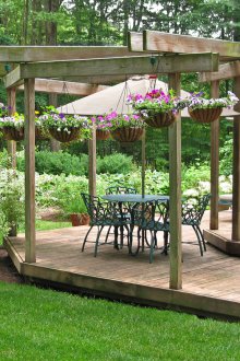 Pergola-Laube