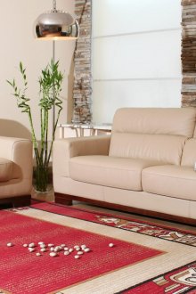 السجاد الأحمر دسم في غرفة المعيشة