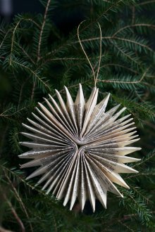 Paper snowflake
