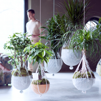 Zimmerpflanzen im Loft-Stil