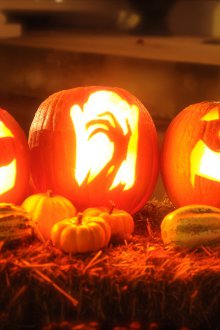 Arrangement de citrouille d'Halloween
