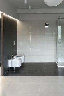 Kombine banyo büyük