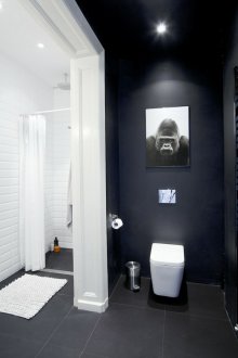 Tek renkli renklerde kombine banyo