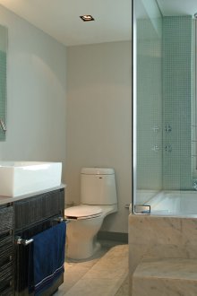 Venge kombine banyo