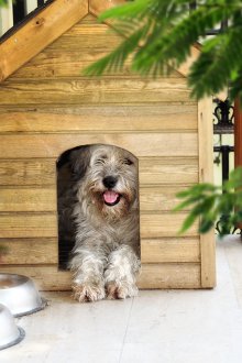 Niche en bois