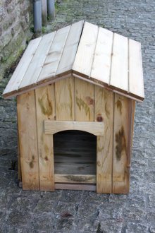 Planche pour le chien des planches